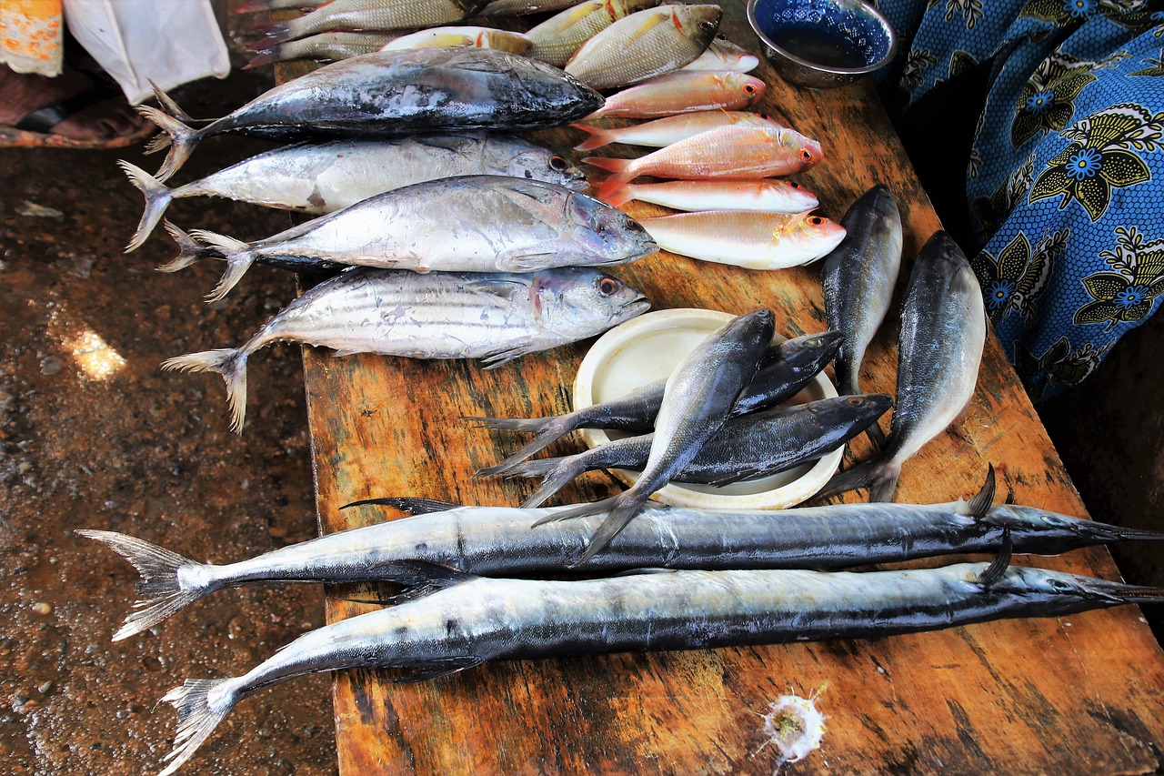 95 Koleksi Ikan Air Laut Yang Bisa Dimakan Gratis