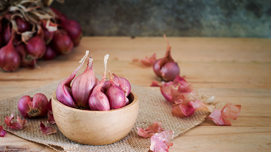 manfaat bawang merah menyehatkan kulit