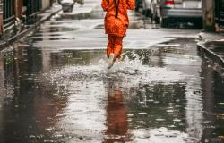 kenaikan_kasus_dengue_hujan