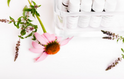 echinacea_omicron_imunitas