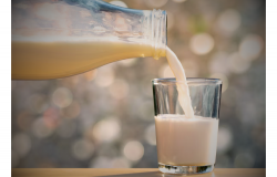 memilih produk susu